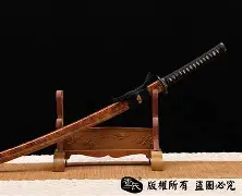 天博体育app-刀塔焦点战：夜刃联盟对战冰川之巅，连下两城，教练激动落泪